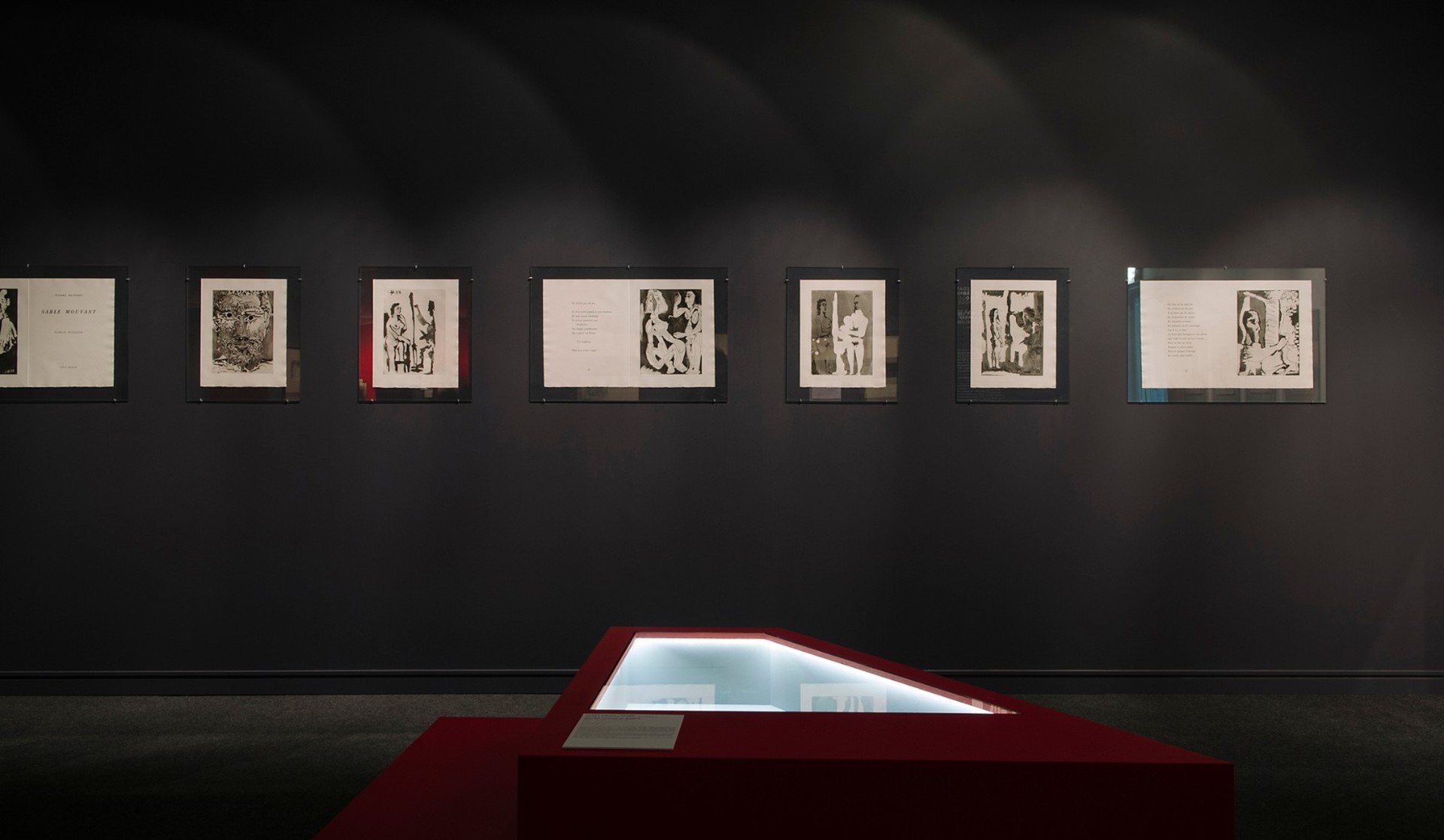 picasso-kniga-i-hudozhnik-psculture-33
