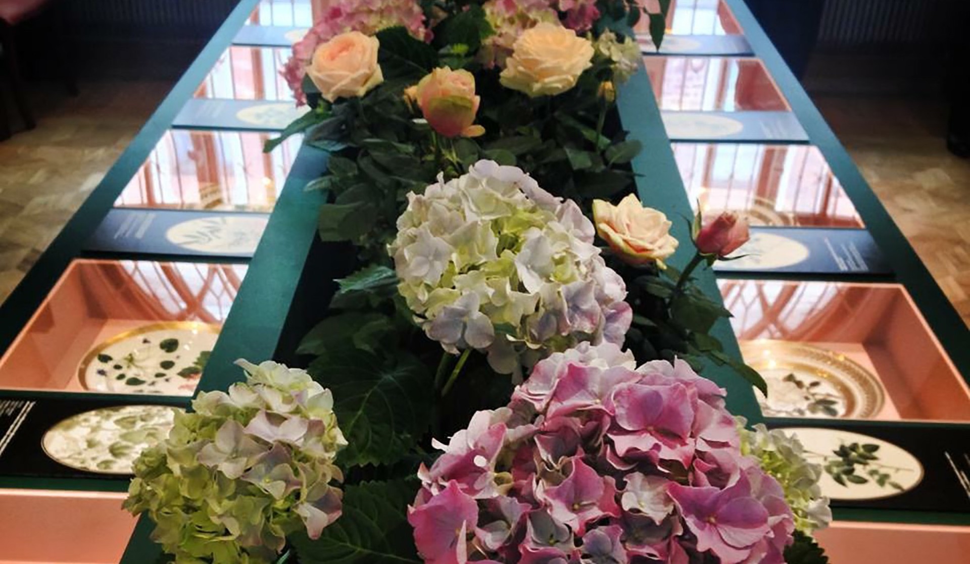 sostyazanie-s-naturoi-psculture-2