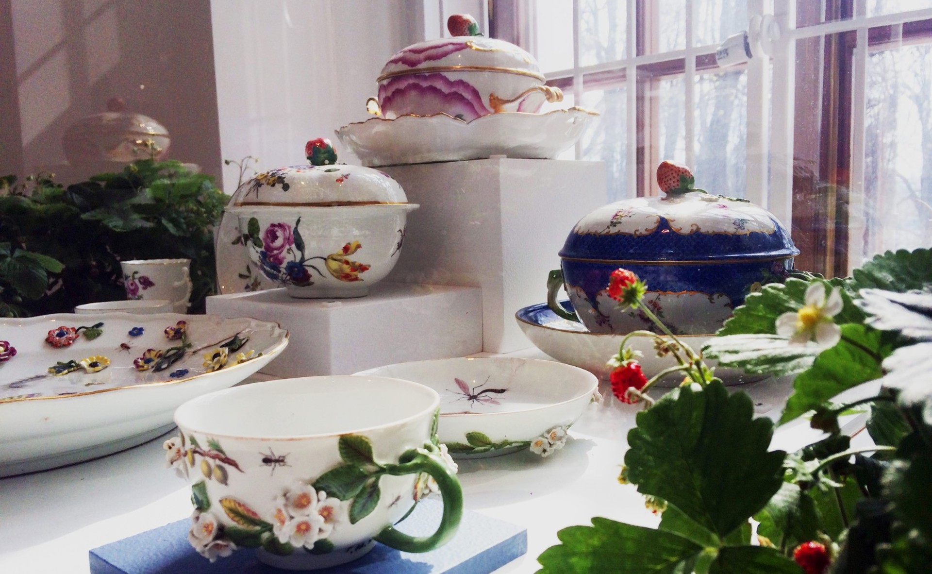 sostyazanie-s-naturoi-psculture-4